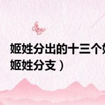 姬姓分出的十三个姓氏（姬姓分支）
