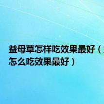 益母草怎样吃效果最好（益母草怎么吃效果最好）