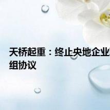 天桥起重:终止央地企业联合重组协议