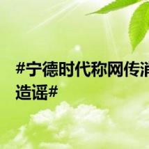 #宁德时代称网传消息系造谣#