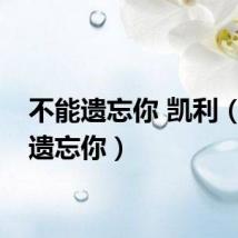 不能遗忘你 凯利（不能遗忘你）