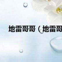 地雷哥哥（地雷哥）