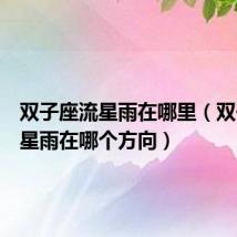双子座流星雨在哪里（双子座流星雨在哪个方向）