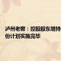 泸州老窖：控股股东增持公司股份计划实施完毕