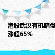 港股武汉有机暗盘交易涨超65%