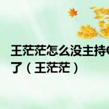 王茫茫怎么没主持CGTN了（王茫茫）