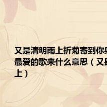 又是清明雨上折菊寄到你身旁把你最爱的歌来什么意思（又是清明雨上）