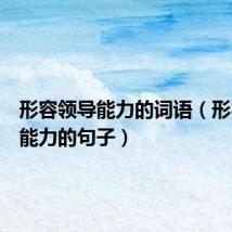 形容领导能力的词语(形容领导能力的句子)