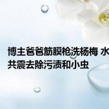 博主爸爸筋膜枪洗杨梅 水与杨梅共震去除污渍和小虫