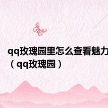 qq玫瑰园里怎么查看魅力值图标（qq玫瑰园）