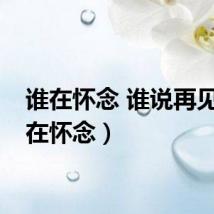 谁在怀念 谁说再见（谁在怀念）