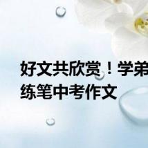好文共欣赏！学弟学妹练笔中考作文