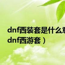 dnf西装套是什么意思(dnf西游套)