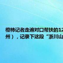 橙柿记者走遍对口帮扶的12个市(州),记录下这段“浙川山海情”