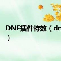 DNF插件特效(dnf插件)