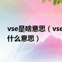vse是啥意思（vsepr是什么意思）