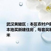 武汉黄陂区:本区农村户籍居民在本地买新建住房,每套奖励10平方米
