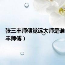 张三丰师傅觉远大师是谁(张三丰师傅)