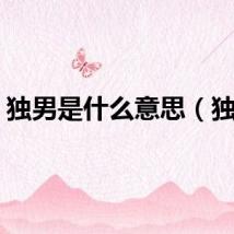 独男是什么意思（独男）