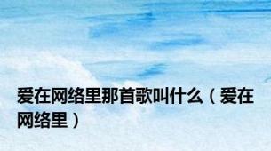 爱在网络里那首歌叫什么（爱在网络里）