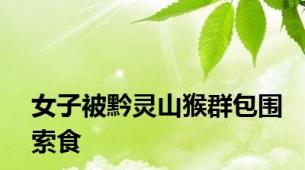 女子被黔灵山猴群包围索食