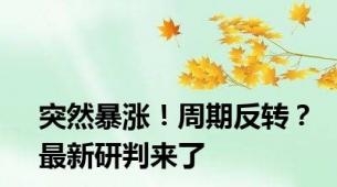 突然暴涨！周期反转？最新研判来了