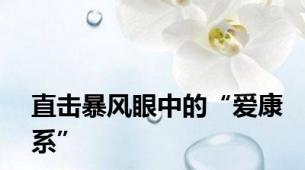 直击暴风眼中的“爱康系”