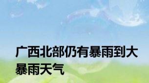 广西北部仍有暴雨到大暴雨天气
