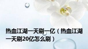 热血江湖一天刷一亿（热血江湖一天刷20亿怎么刷）