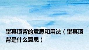 望其项背的意思和用法（望其项背是什么意思）