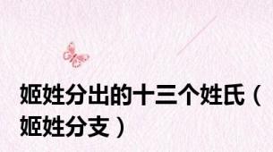 姬姓分出的十三个姓氏（姬姓分支）