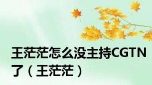 王茫茫怎么没主持CGTN了（王茫茫）