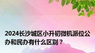 2024长沙城区小升初微机派位公办和民办有什么区别？