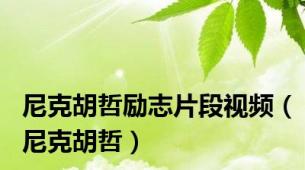 尼克胡哲励志片段视频（尼克胡哲）