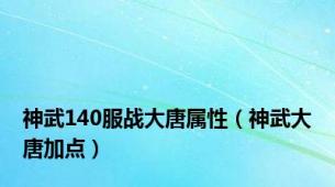 神武140服战大唐属性（神武大唐加点）