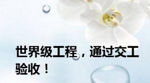 世界级工程，通过交工验收！