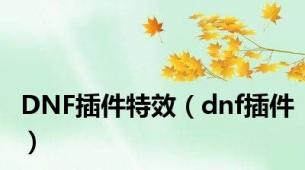 DNF插件特效（dnf插件）