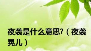 夜袭是什么意思?（夜袭晃儿）