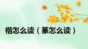楷怎么读（篆怎么读）