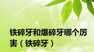 铁碎牙和爆碎牙哪个厉害（铁碎牙）