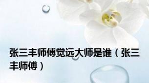张三丰师傅觉远大师是谁（张三丰师傅）