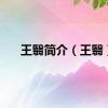 王翳简介（王翳）