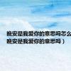 晚安是我爱你的意思吗怎么回答（晚安是我爱你的意思吗）