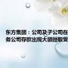 东方集团：公司及子公司在东方财务公司存款出现大额提取受限情形