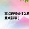 重点符号长什么样子（重点符号）