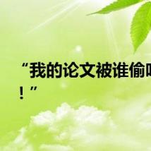 “我的论文被谁偷吃了？！”