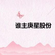 谁主庚星股份