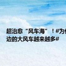 超治愈“风车海”!#为什么海边的大风车越来越多#