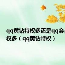 qq黄钻特权多还是qq会员的特权多（qq黄钻特权）