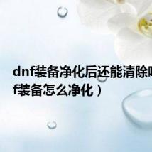dnf装备净化后还能清除吗（dnf装备怎么净化）